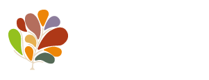 Logo Senior Village